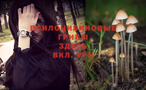 винт Нефтекумск