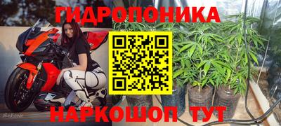 прущий лед Бийск