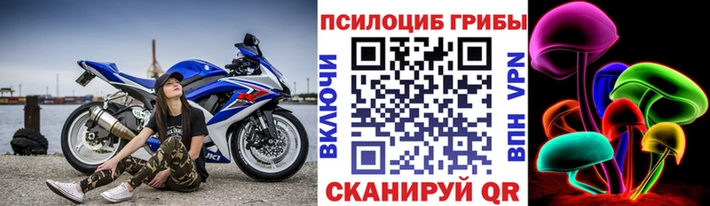 Псилоцибиновые грибы мицелий Кольчугино