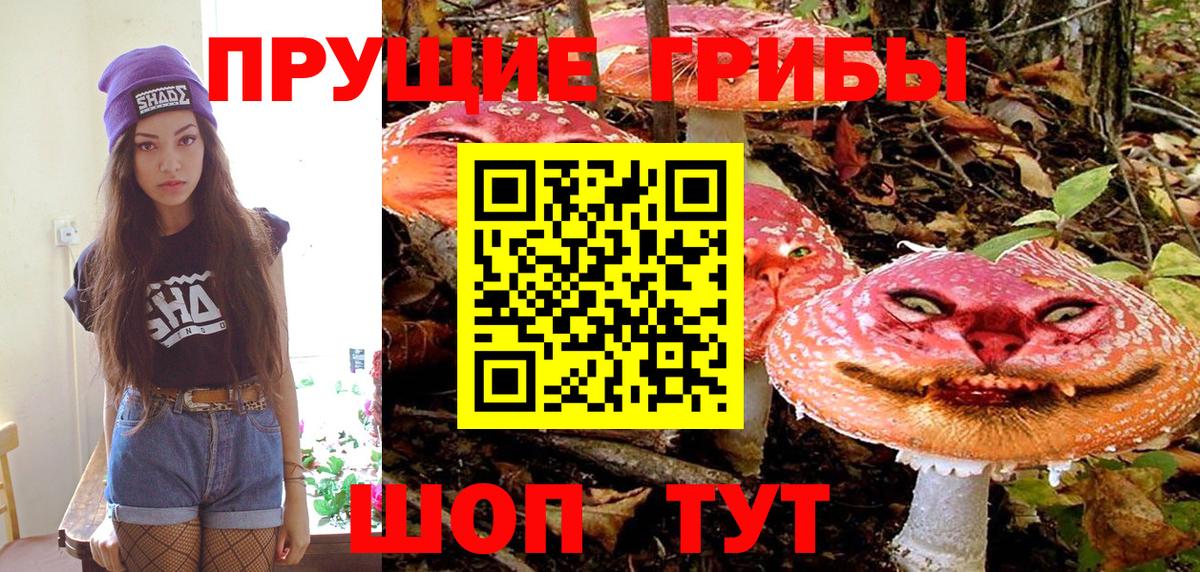 Галлюциногенные грибы мухоморы Кольчугино